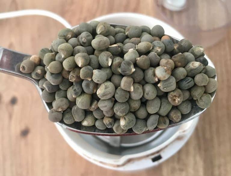 bamya-tohumu-e1567004191147