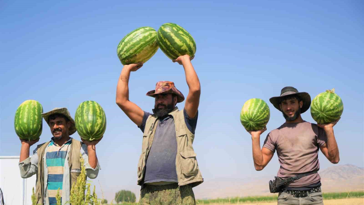 resim-2025-09-02-010708289