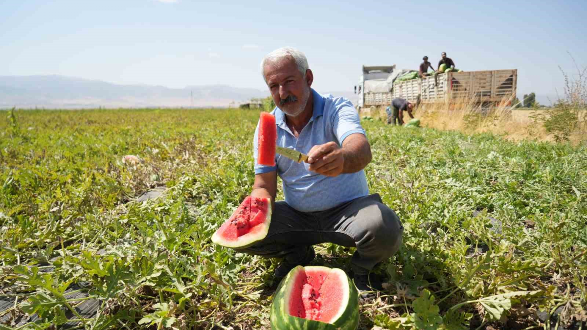 resim-2025-09-02-010723355