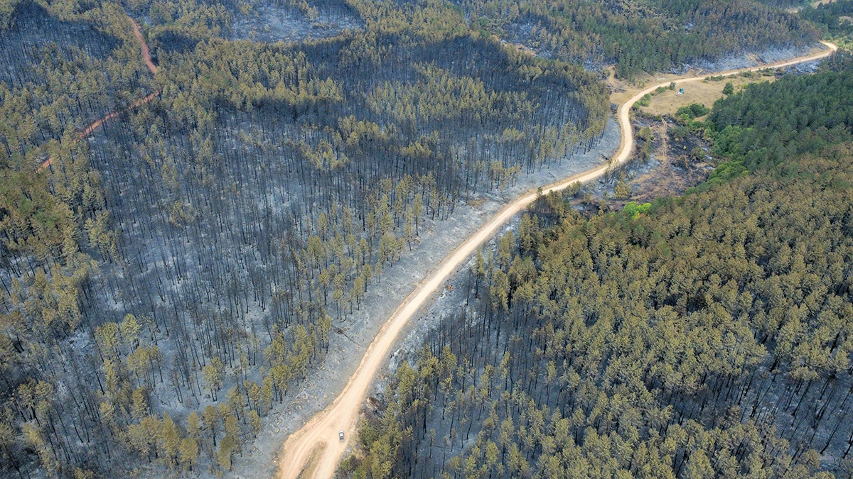 karabuk-orman-yangini-2