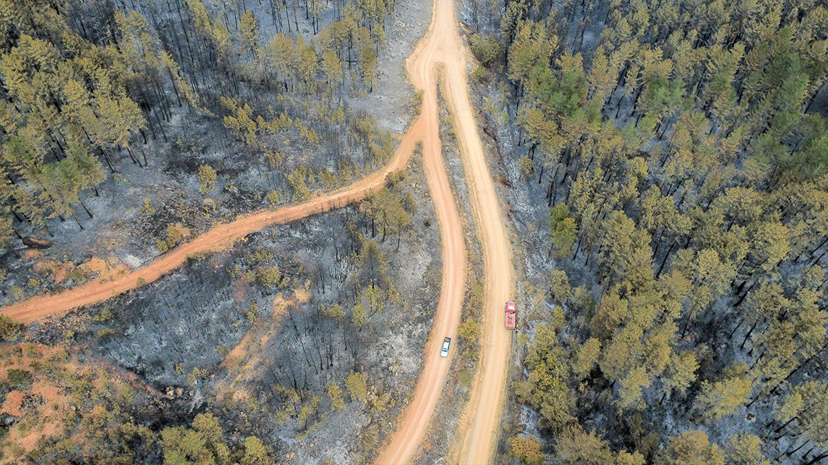 karabuk-orman-yangini-3