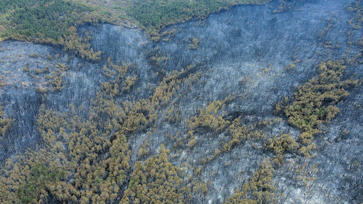 karabuk-orman-yangini-4