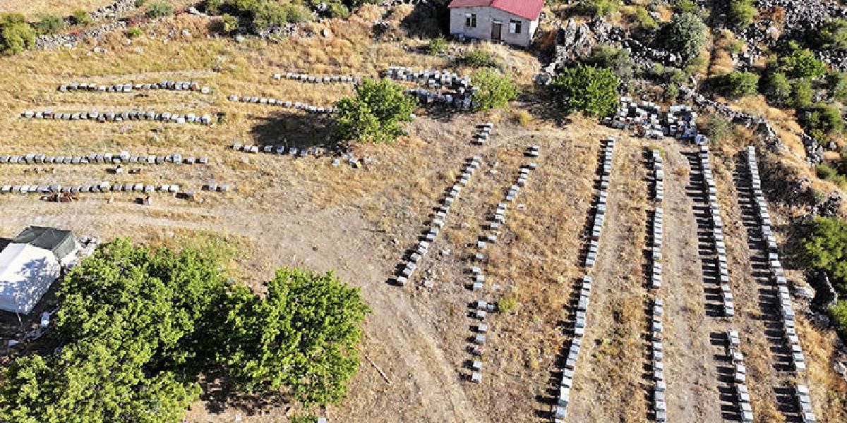 kayseride-aricilik-yapan-1