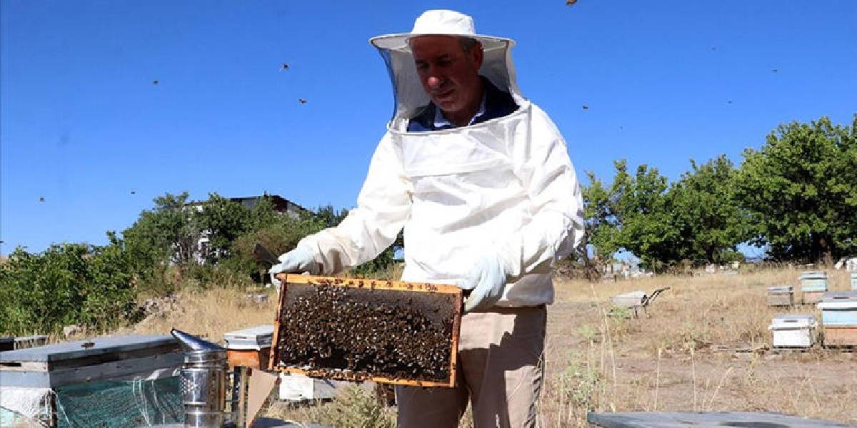 kayseride-aricilik-yapan-2