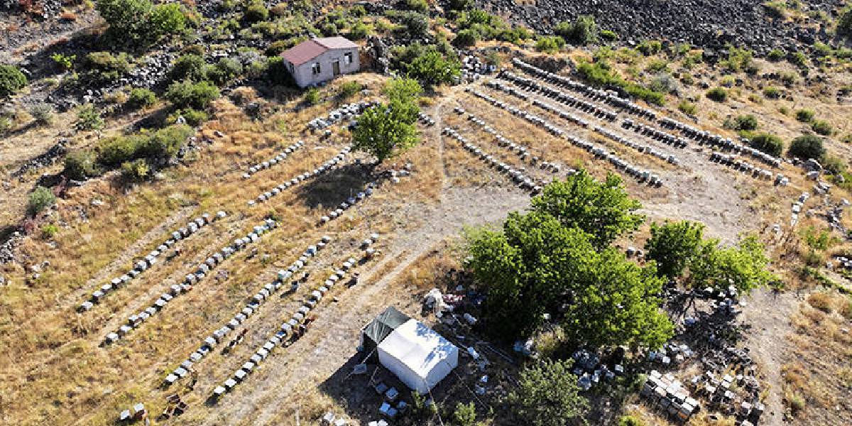 kayseride-aricilik-yapan-3