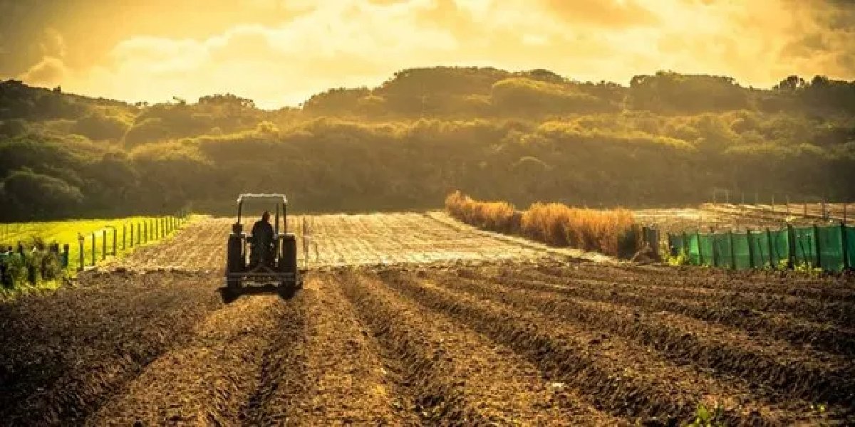 kiralik-tarla-uygulamasi-nedir