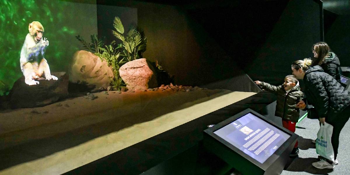 ankara-dijital-hayvanat-bahcesi-2