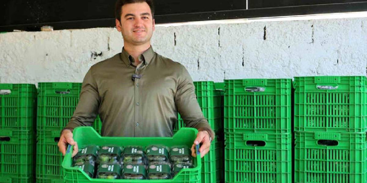 bodrum-yesil-mandalini-1