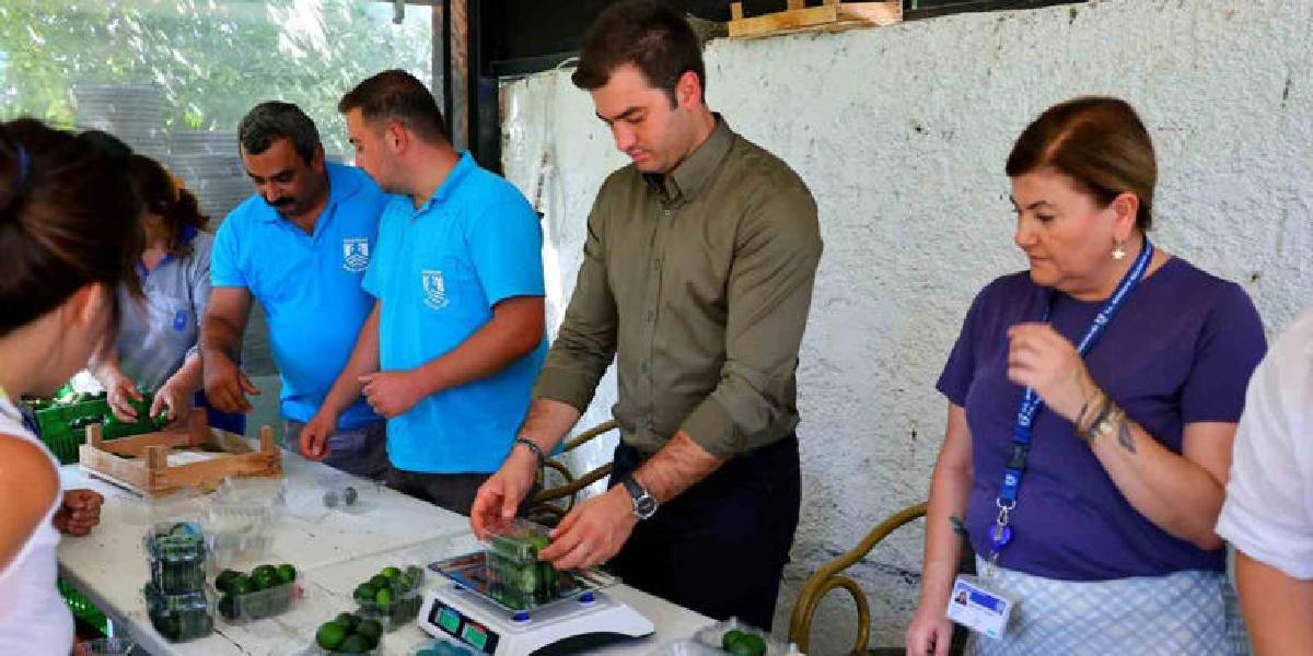 bodrum-yesil-mandalini-3