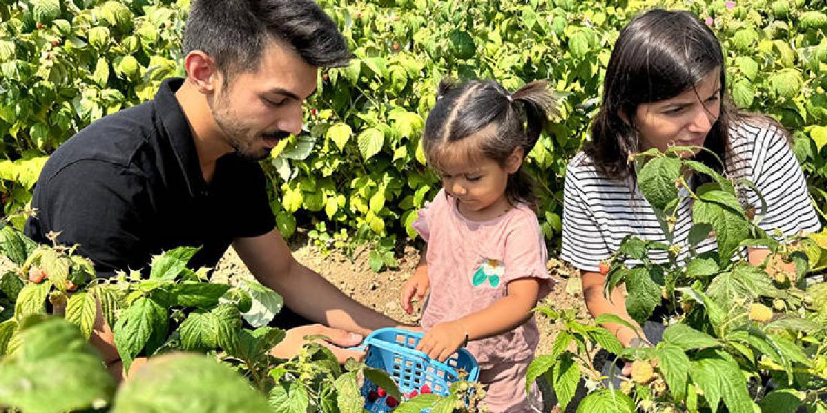 boluda-meyve-bahcesi-kuran-1