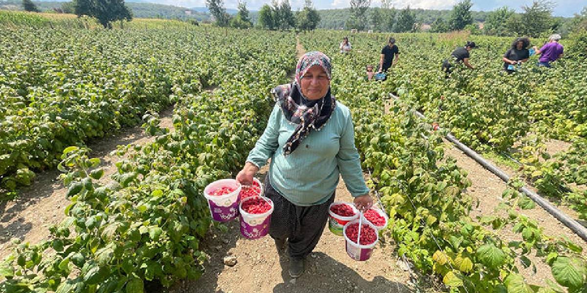 boluda-meyve-bahcesi-kuran-3