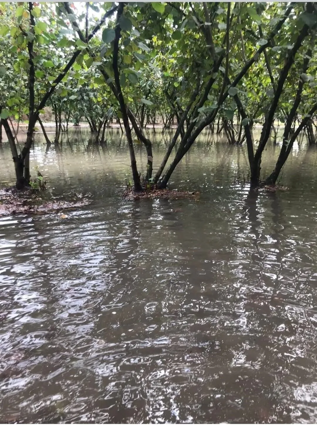 resim-2025-09-04-235810803