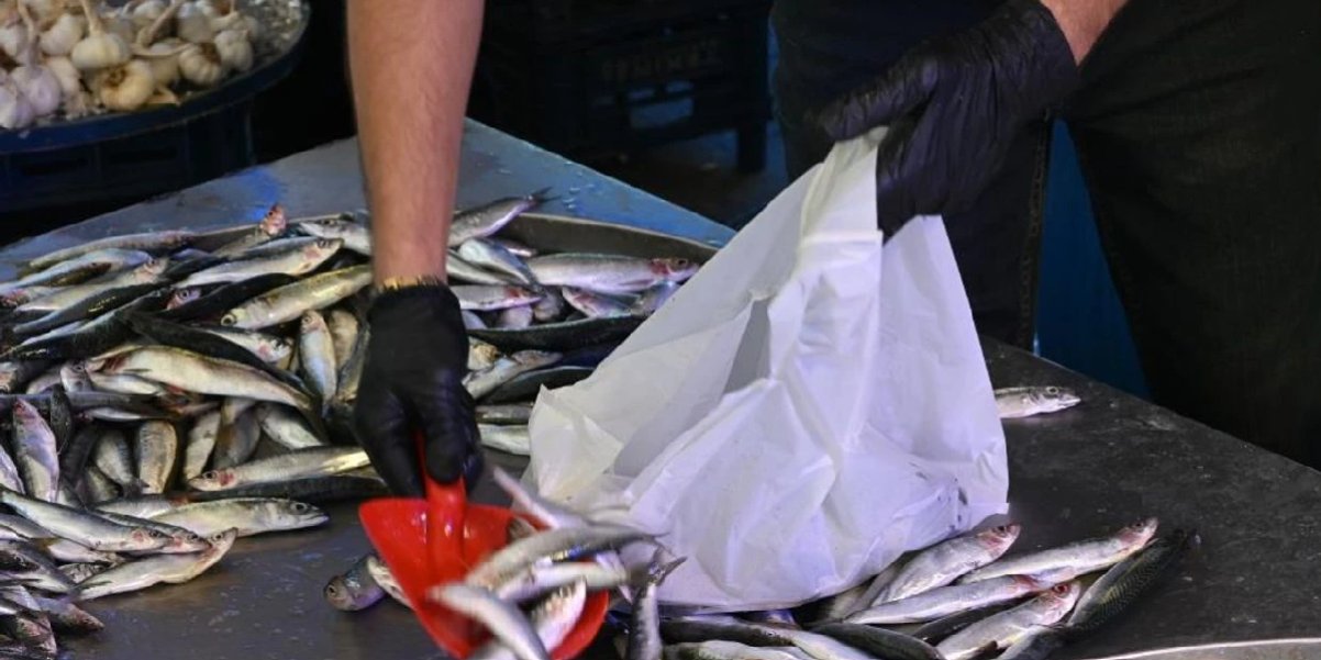 erkan-arslanbenzer-balik-eskisehir