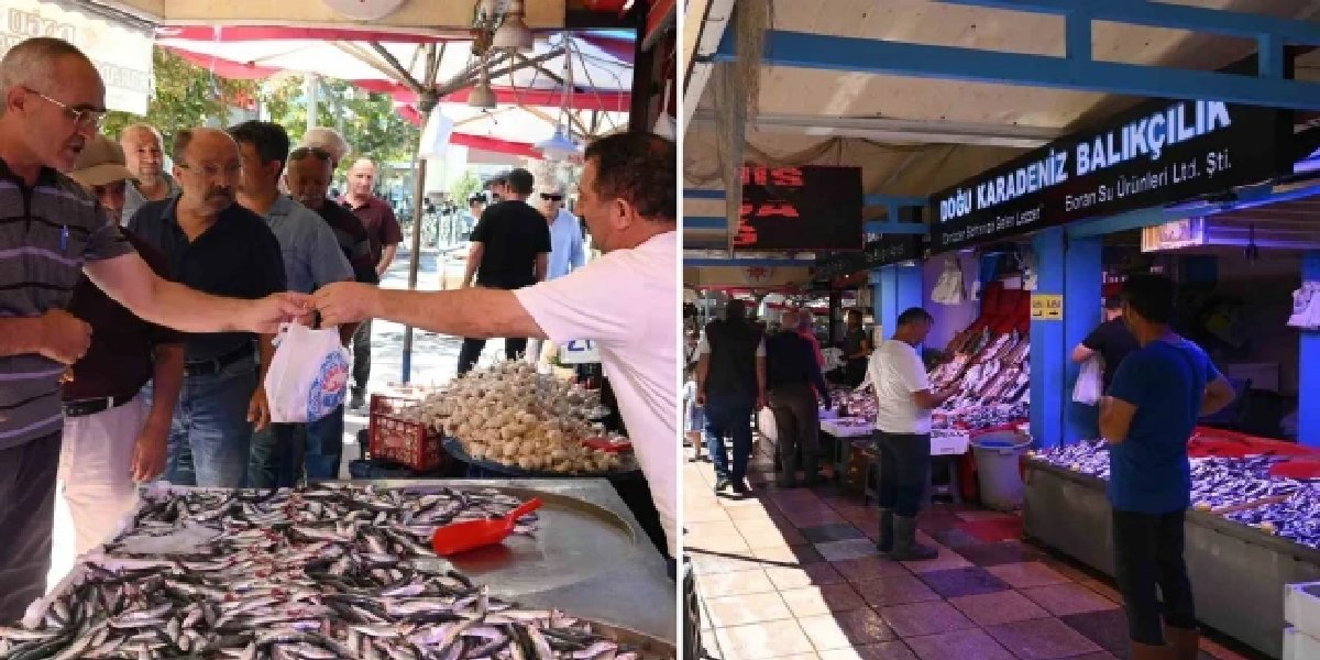 eskisehir-ucretsiz-balik