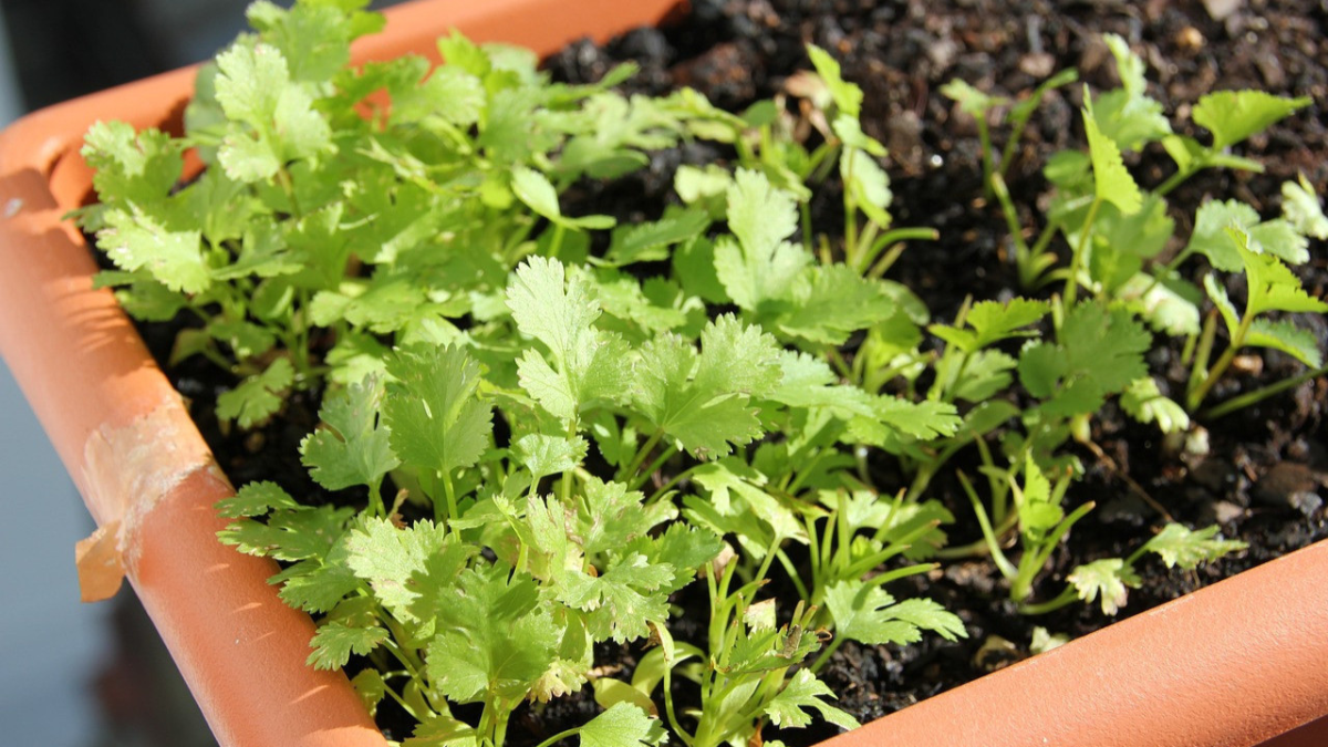 resim-2025-09-05-150649783