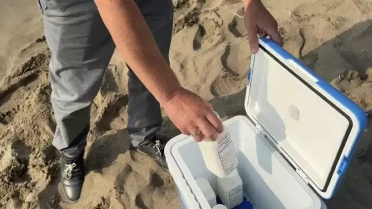 resim-2025-09-05-151641145