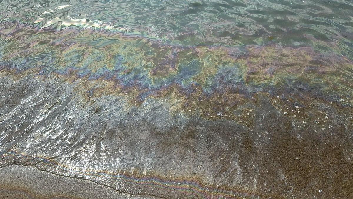 resim-2025-09-05-151800009