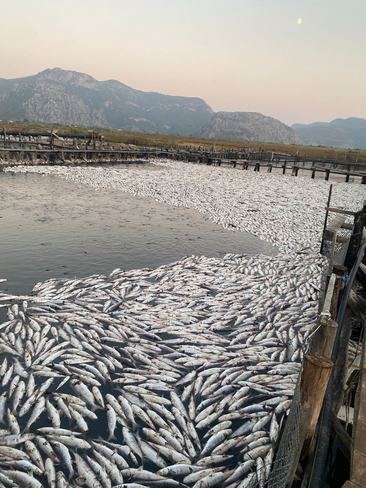 whatsapp-image-2025-09-06-at-11-17-20