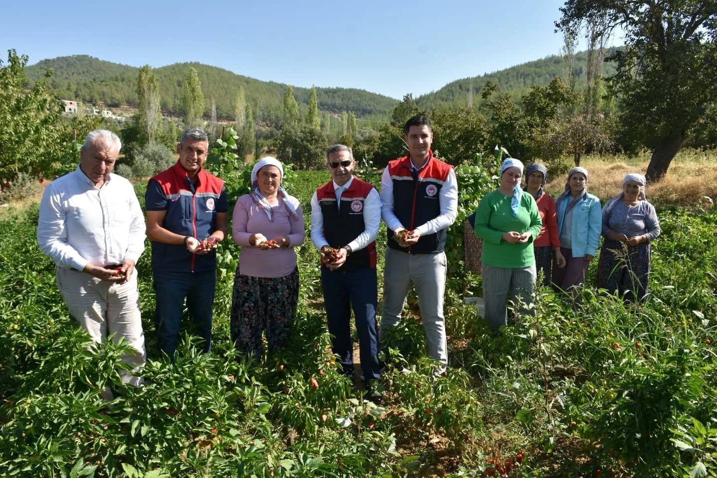 20250905aw532046-0-1