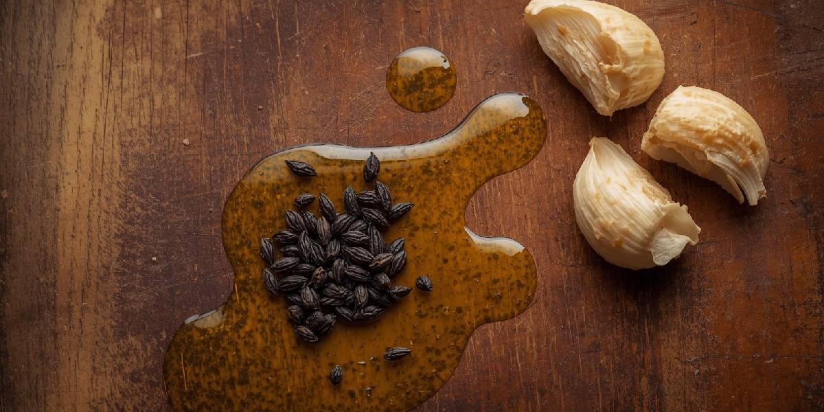 corekotu-sarimsak-ve-zeytinyagi-faydalari-2