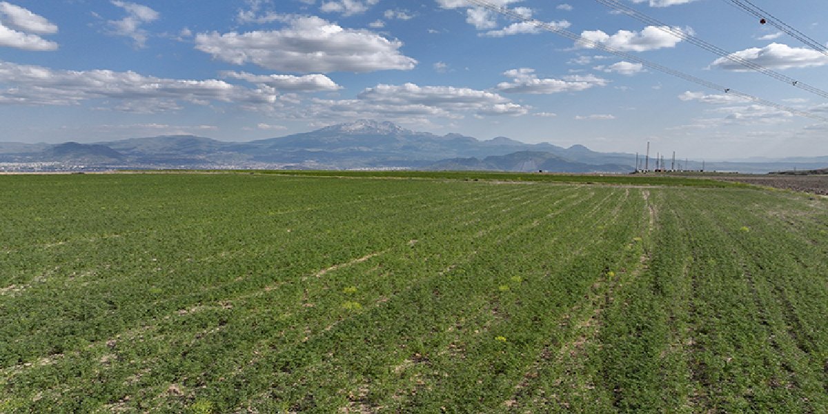 kayseri-bulent-saklav-tarimsal-uretim