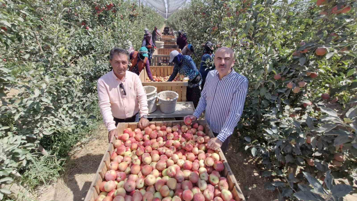 resim-2025-09-07-015301495