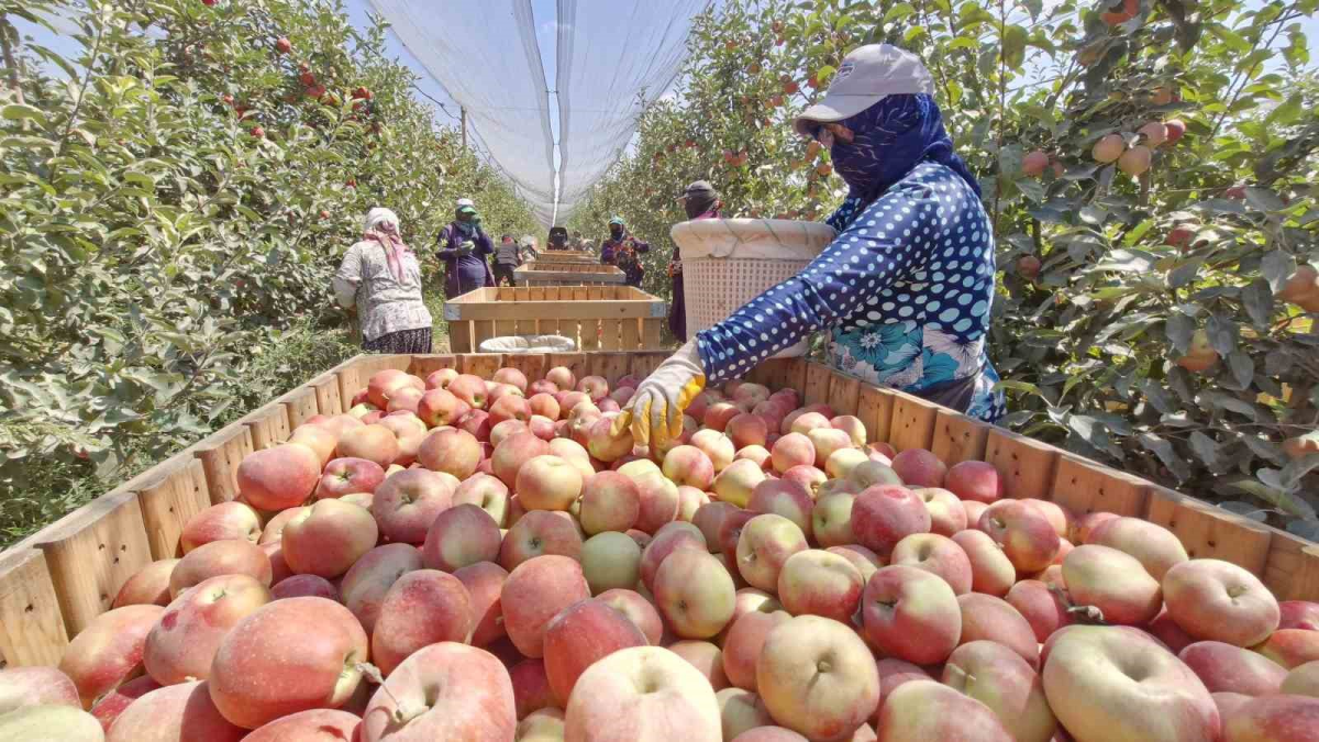 resim-2025-09-07-015312305