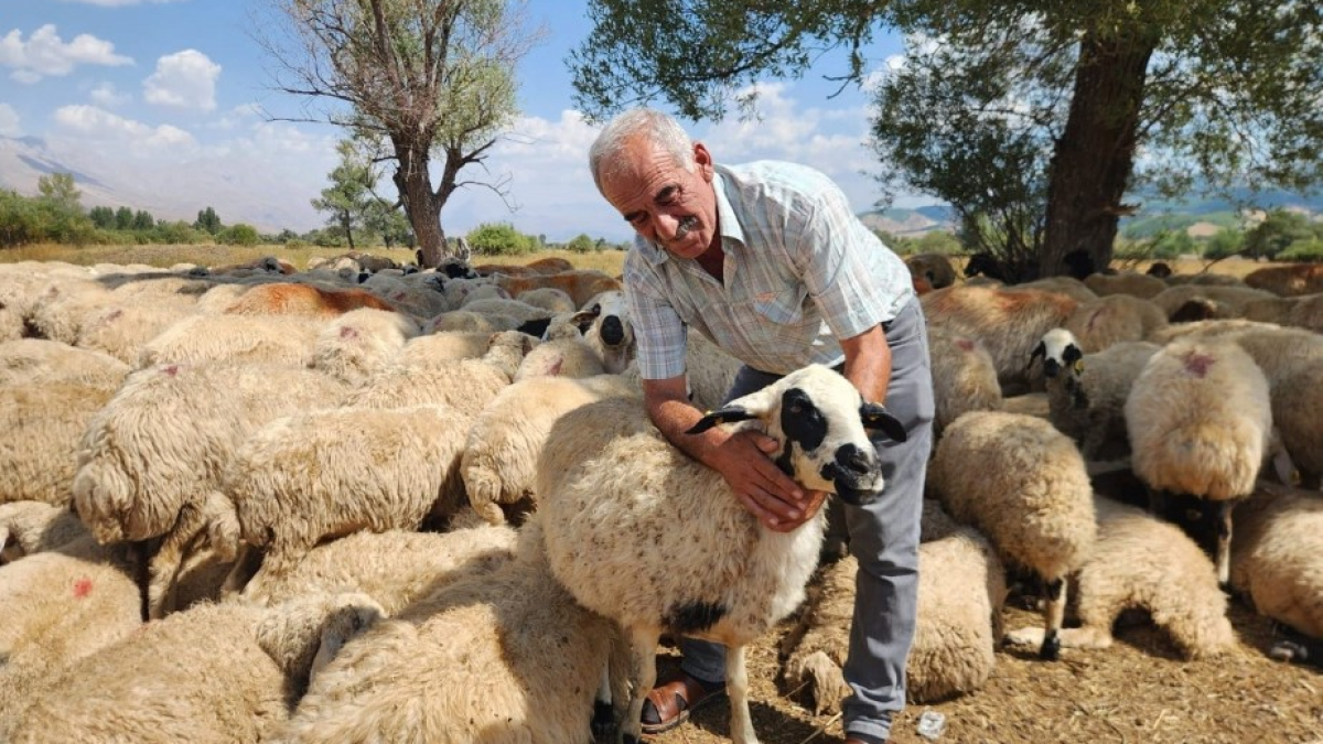 resim-2025-09-07-113722307