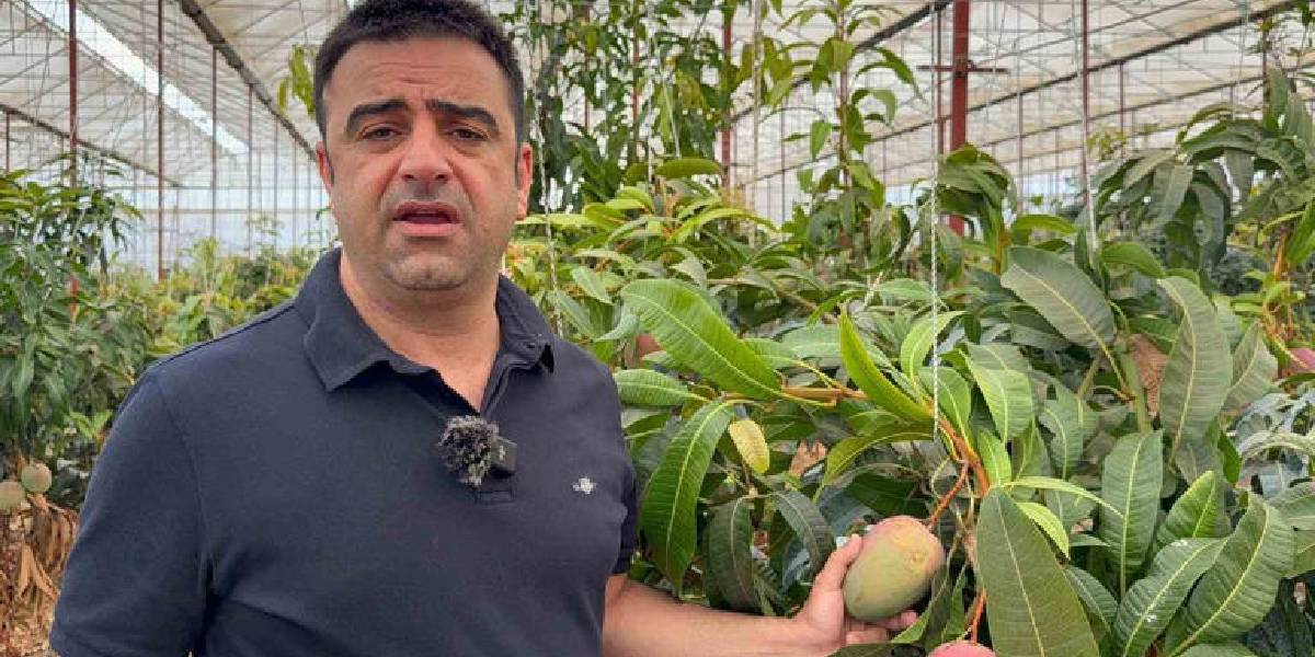 antalyada-mango-hasadi-2