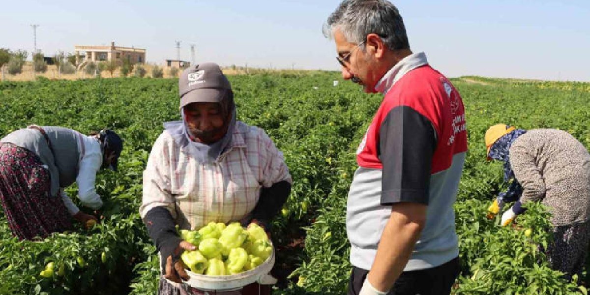 biber-hasadi-adiyaman