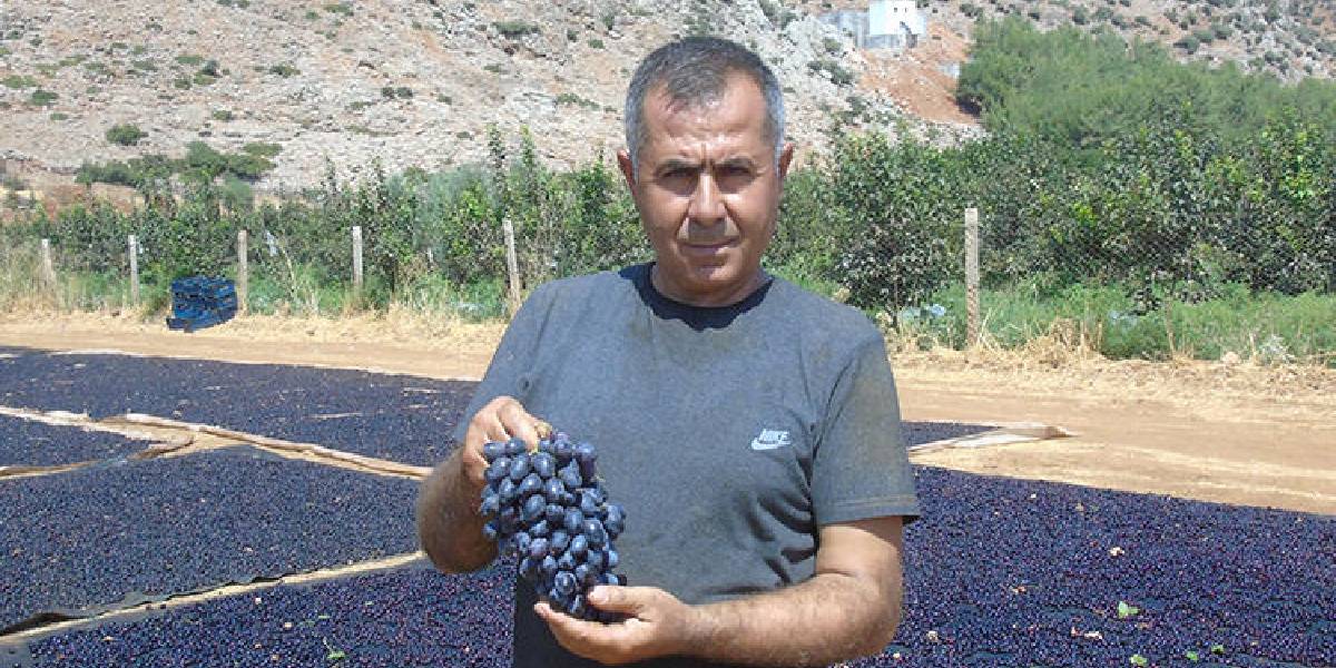 gaziantepte-uzum-kurutma-1