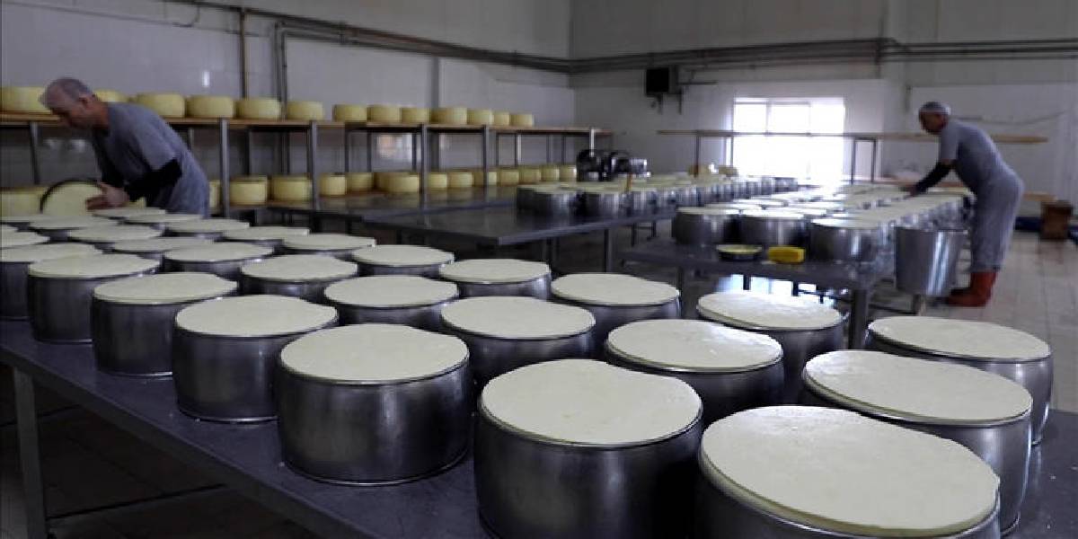 kirklarelinde-sut-urunleri-1