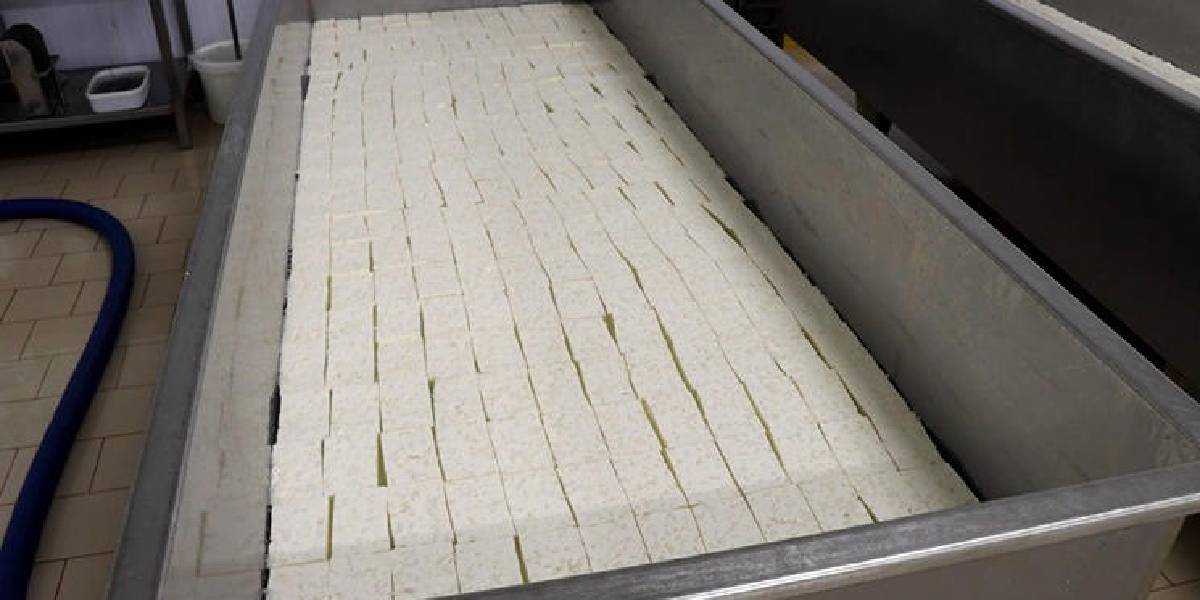 kirklarelinde-sut-urunleri-2