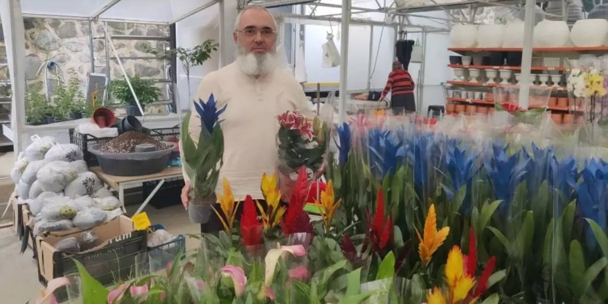 rizede-kaktus-yetistiren-1