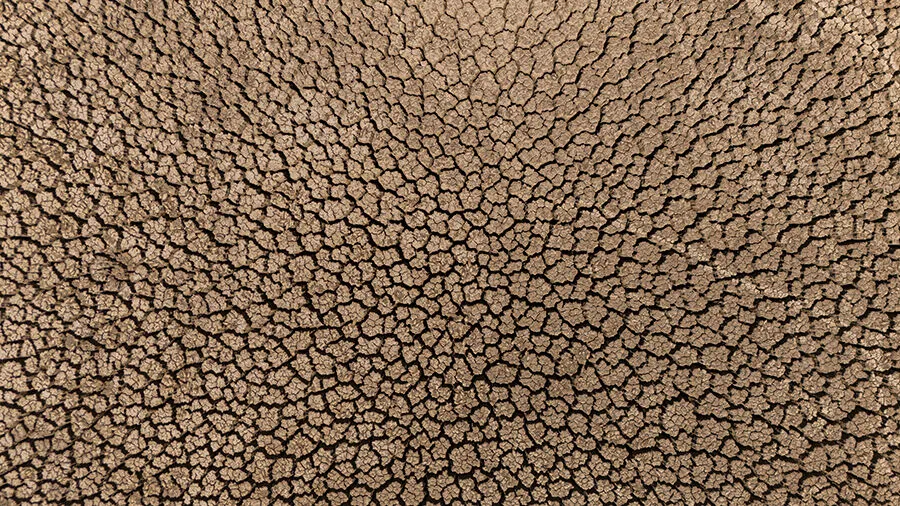 resim-2025-09-09-083932373