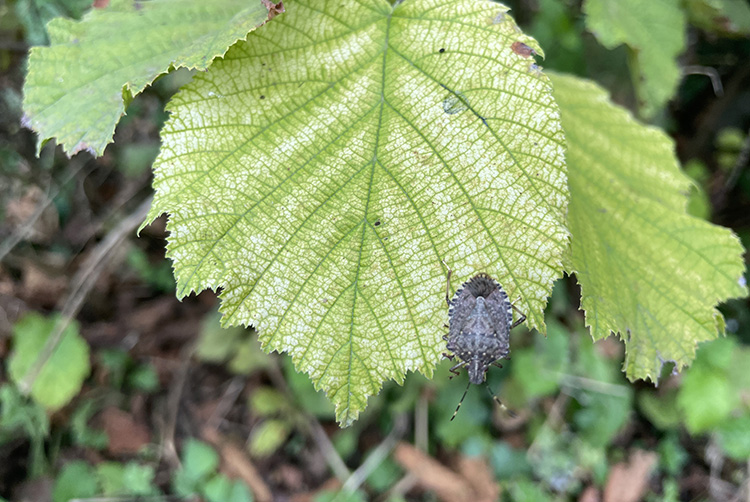 resim-2025-09-09-091144448