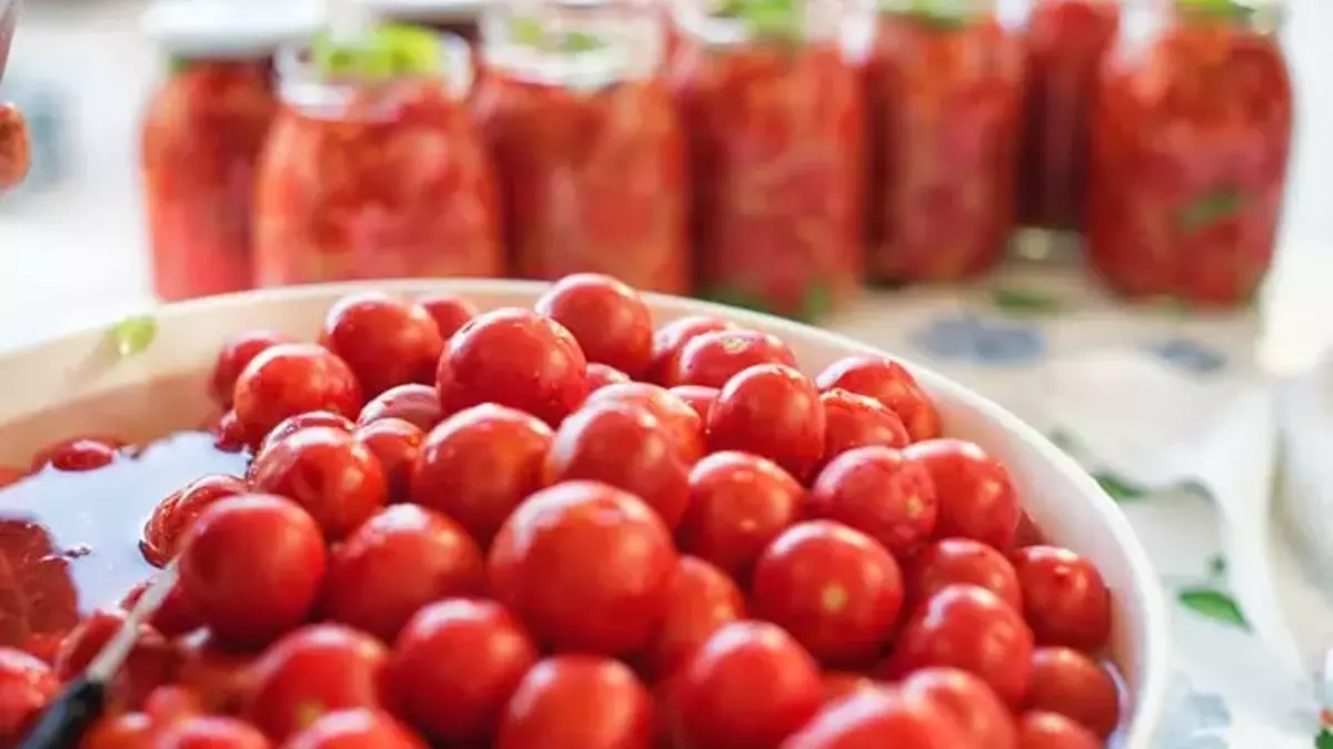 resim-2025-09-09-234103516