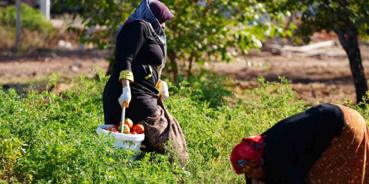 diyarbakirda-yerel-2