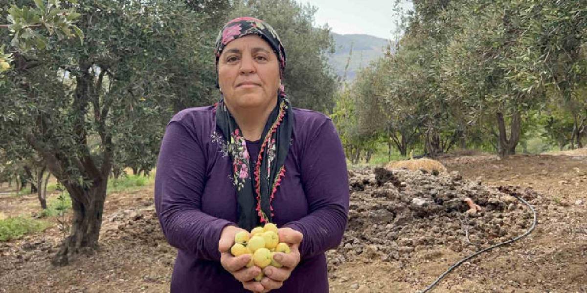 hatayda-alic-hasadi-2