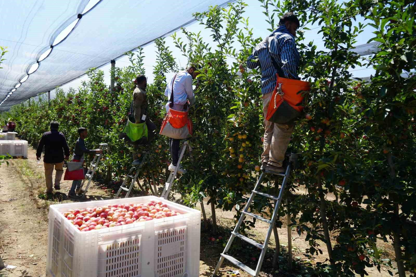 resim-2025-09-10-094907389