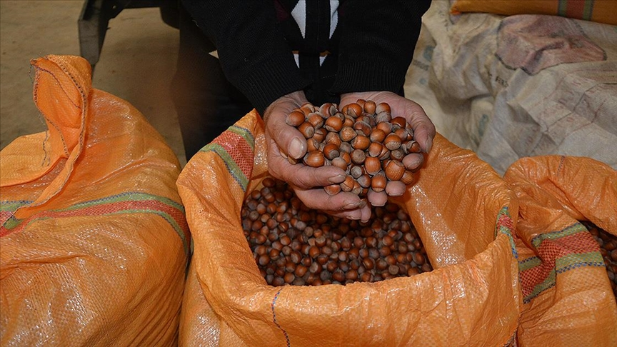 resim-2025-09-10-101048584