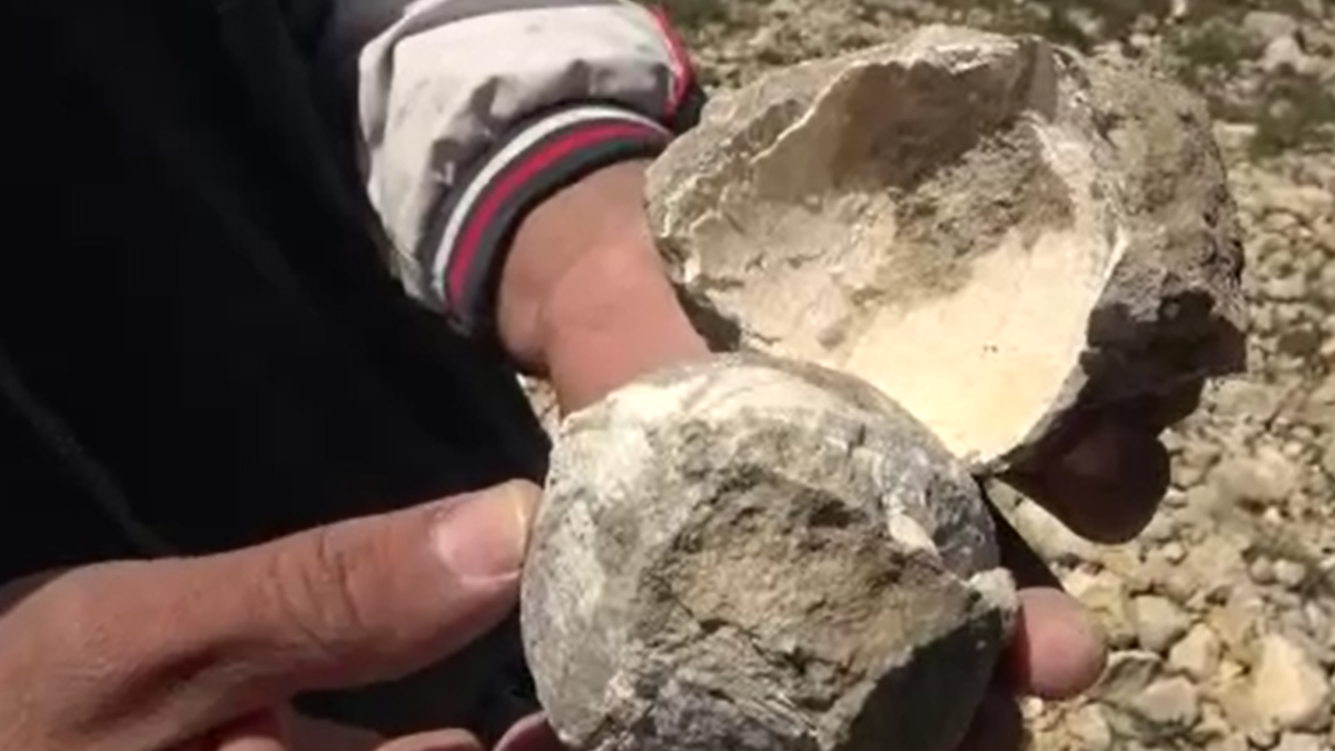 resim-2025-09-10-134354797