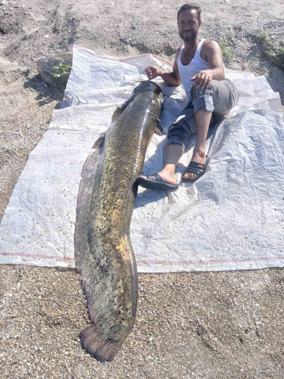 resim-2025-09-10-233951452