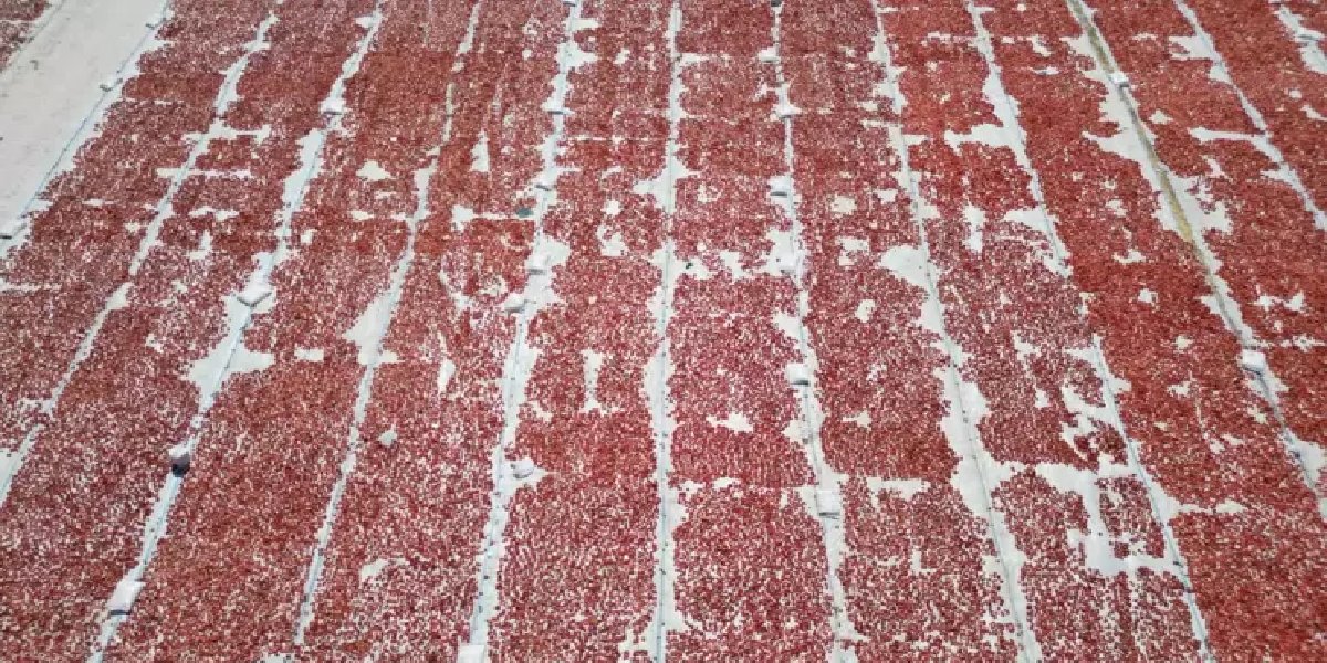 turkiyenin-en-buyuk-acik-hava-fabrikasi