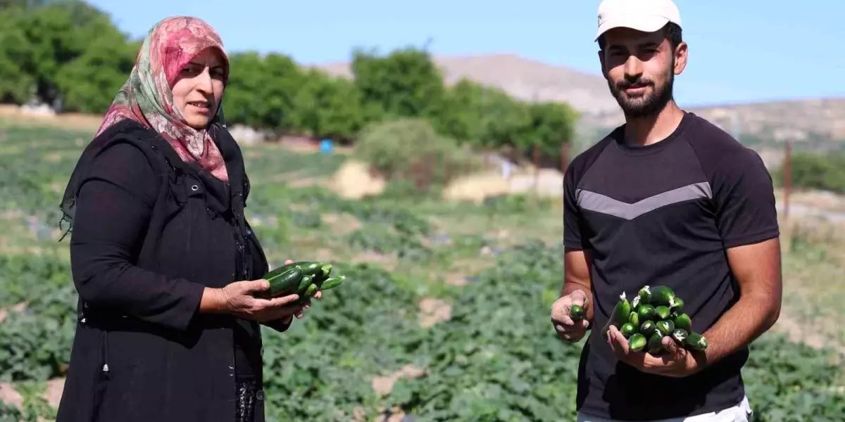 cankara-ailesi-kapak