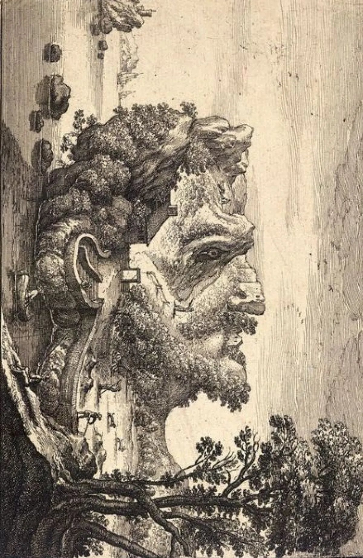 gizli-yuz-test-yanit