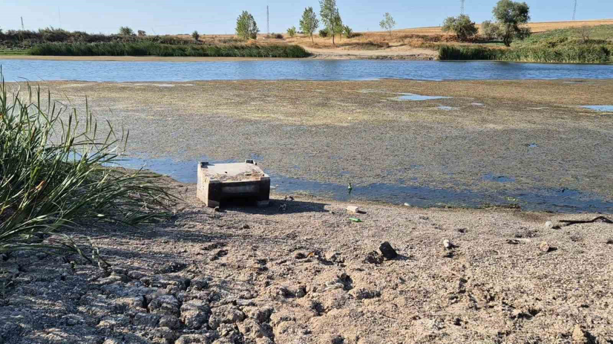 resim-2025-09-11-140953131