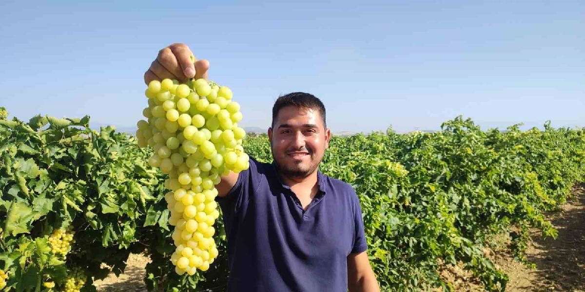 denizlide-uzum-hasadi-1