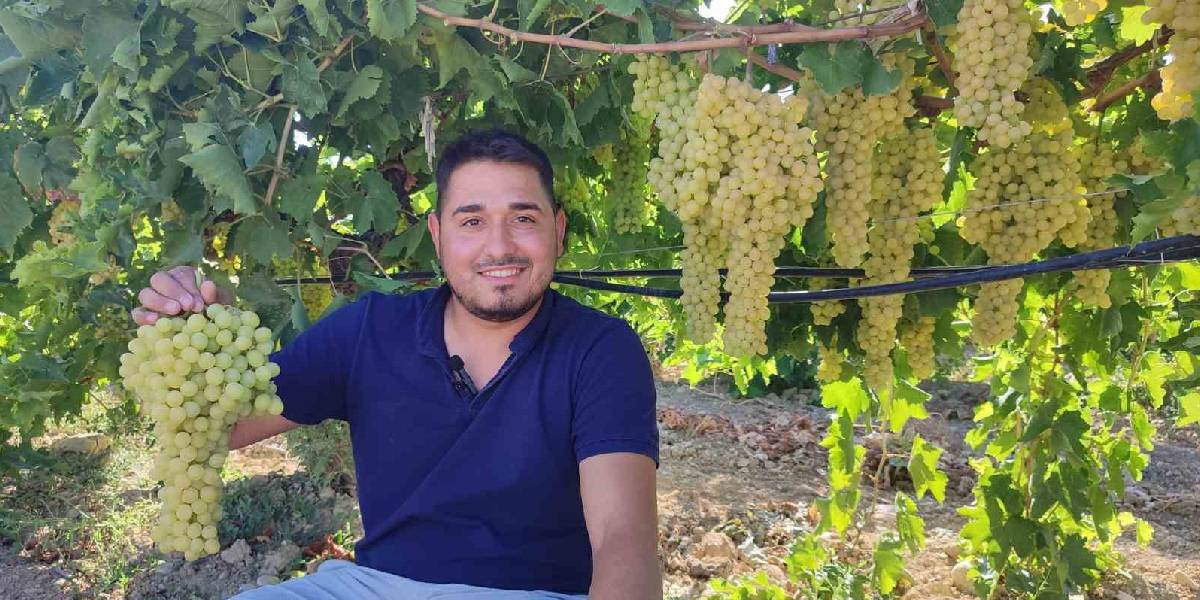 denizlide-uzum-hasadi-2