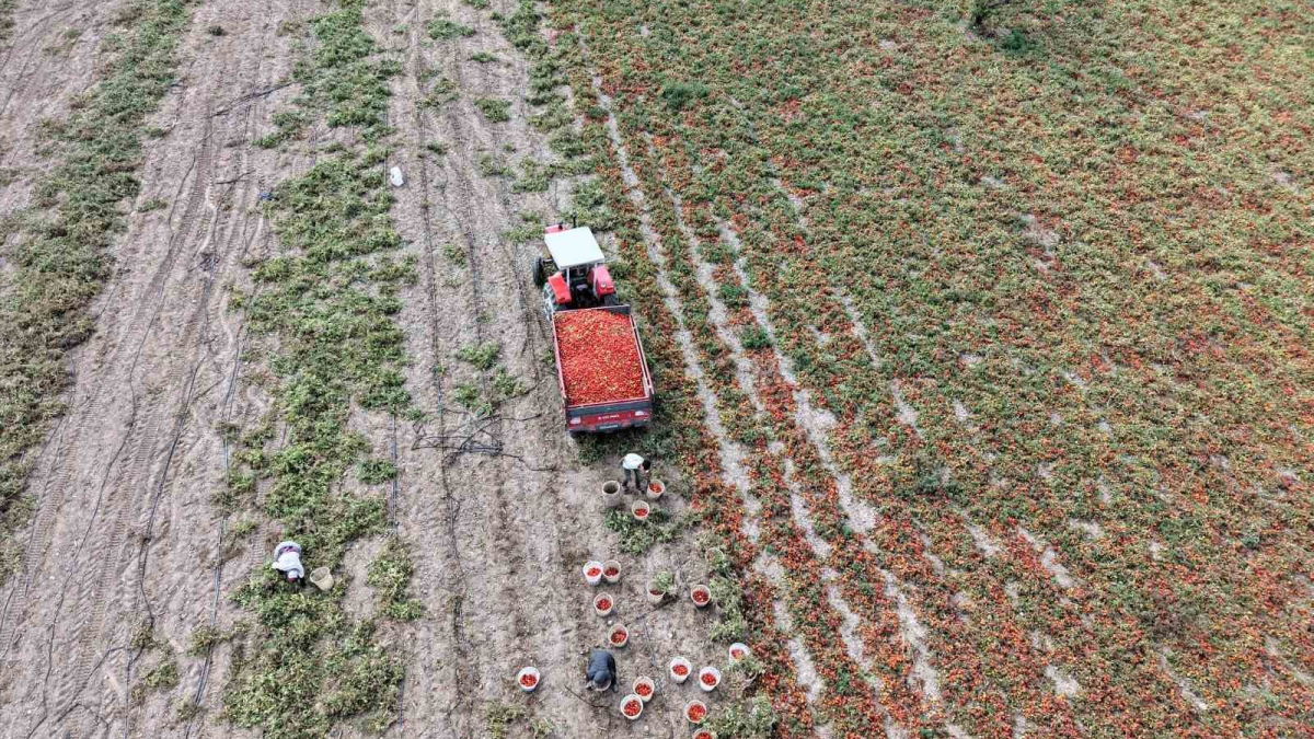 resim-2025-09-12-130712118